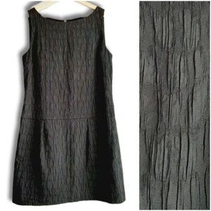 KENNETH COLE Textured Drop Waist Knee Length Midi Dress Black Sz 12